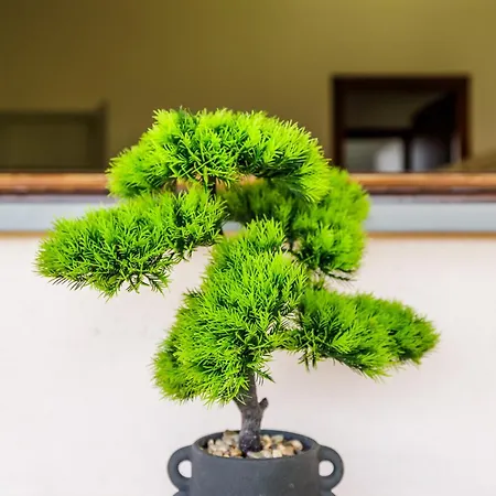 Dolce Casa 2 Lejlighed *